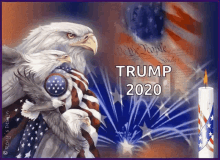 Trump Usa GIF - Trump Usa 2020 GIFs