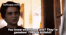 You Know What These Are? They'Regazebos! They Re Bullshit!.Gif GIF - You Know What These Are? They'Regazebos! They Re Bullshit! Fav It 2017 GIFs