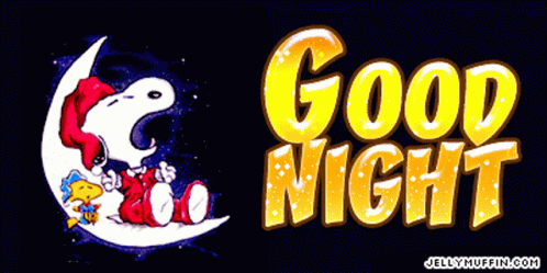 Goodnoght Moon GIF - Goodnoght Moon Snoopy GIFs
