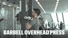 Barbell Overhead Press GIF - Barbell Over Head Press Barbell Lifting GIFs