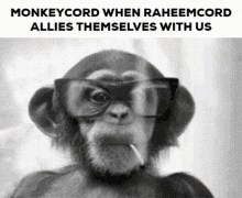 Monkeycord Raheemcord GIF - Monkeycord Raheemcord Allies GIFs