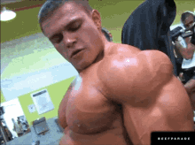 Muscle Alexey GIF - Muscle Alexey GIFs