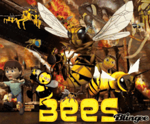 Bee Bees GIF - Bee Bees Wasp GIFs