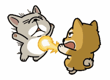 hadoken punch angry mad fight hadoken punch angry mad fight