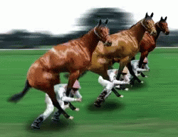 Funny Horse Racing GIFs | Tenor