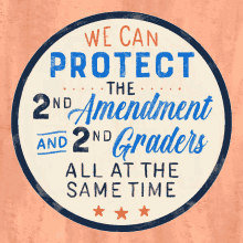 gun laws gun control national rifle association protect our schools we can protect the second amendment and second graders all at the same time