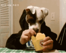 Dog GIF - Dog Silly Eat GIFs