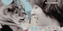 dog kiss cute chu inookei dog kiss cute chu inookei