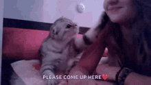 Cats Kisses GIF - Cats Kisses Attention GIFs