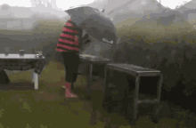 Defying Obstacles GIF - Defying Obstacles Storm GIFs