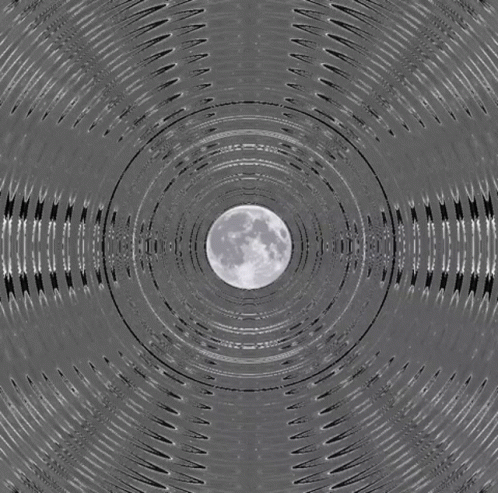 2021 GIF - 2021 - Discover & Share GIFs