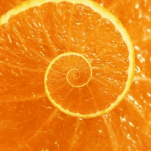 vitaminsiz sezar orange spiral