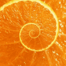 vitaminsiz sezar orange spiral vitaminsiz sezar orange spiral