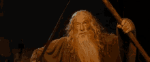 Lord Of The Rings You Shall Not Pass GIF - Lord Of The Rings You Shall Not Pass Not Pass GIFs