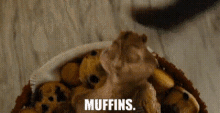 Alvin And The Chipmunks Theodore GIF - Alvin And The Chipmunks Theodore Muffins GIFs