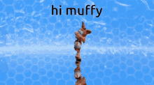 hi muffy bubsy