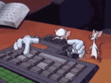Pinky And GIF - Pinky And The GIFs