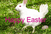 Easteregg Easterbunny GIF - Easteregg Easterbunny Bunny GIFs
