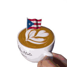 Puerto Rico Commonwealth Of Puerto Rico GIF - Puerto Rico Commonwealth Of Puerto Rico San Juan GIFs
