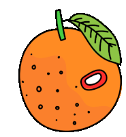 Orange Naranja Sticker - Orange Naranja Fruit Stickers