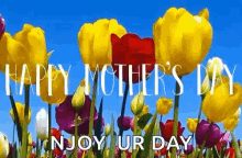 Happy Mothers Day Moms Day GIF - Happy Mothers Day Moms Day Enjoy Your Day GIFs