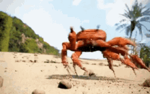 Mfw Crabs GIF - Mfw Crabs Outbreak GIFs