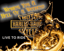 Motorcycle Harley Davidson GIF - Motorcycle Harley Davidson Biker GIFs