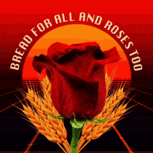 Bread And Roses Bread For All And Roses Too GIF - Bread And Roses Bread Roses GIFs