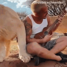 ukulele dean schneider play you a song ukulele player surrounded by lions