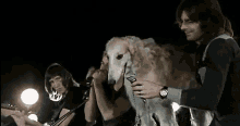 mademoiselle nobs seamus seamus the dog pink floyd mademoiselle nobs seamus seamus the dog pink floyd