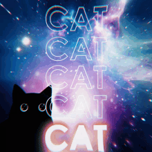 Blackcat Rainbowcattext GIF - Blackcat Rainbowcattext Galaxytext GIFs