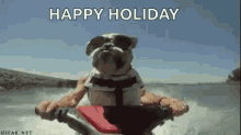 Bulldog Riding GIF - Bulldog Riding Beach GIFs