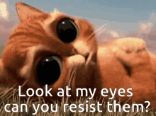 Cant Resist Too Cute GIF - Cant Resist Too Cute Puss In Boots GIFs