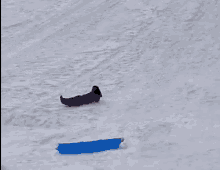 Sled Snow GIF - Sled Snow Jump GIFs