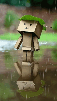 rain raining cute box