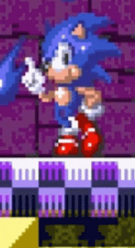 Sonic the hedgehog game