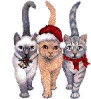 Three Cats Cats Sticker - Three Cats Cats Merry Christmas Stickers