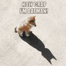 Batman Fox GIF - Batman Fox Batdog GIFs