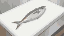 Fish Knife GIF - Fish Knife Cooking GIFs