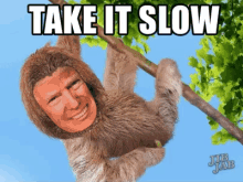 Take It Slow Sloth GIF - Take It Slow Sloth Humor GIFs