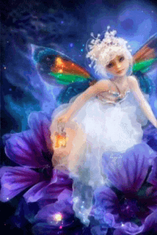 fairy glitter