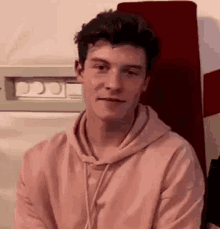 Shawn Mendes Smile GIF - Shawn Mendes Smile Blink GIFs
