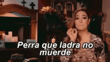 mayeli rivera rica perra que ladra no muerde mayeli rivera rica perra que ladra no muerde