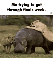 Trying To Get Through Finals Week Idc GIF - Trying To Get Through Finals Week Idc Dont Care GIFs