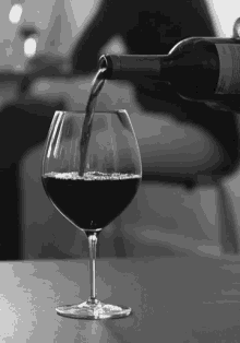 Wine Drink GIF - Wine Drink GIFs
