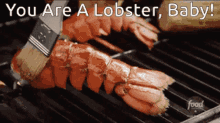 Lobster Grill GIF - Lobster Grill Baby GIFs