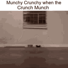 Munch Crunch GIF - Munch Crunch Cat GIFs