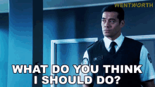 What Do You Think I Should Do Will Jackson GIF - What Do You Think I Should Do Will Jackson Wentworth GIFs