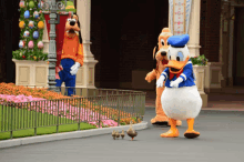 Donald Duck Ducks GIF - Donald Duck Ducks Duck GIFs