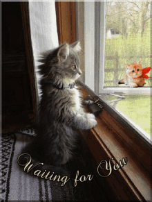 Várok Rád Waiting For You GIF - Várok Rád Waiting For You Cat GIFs